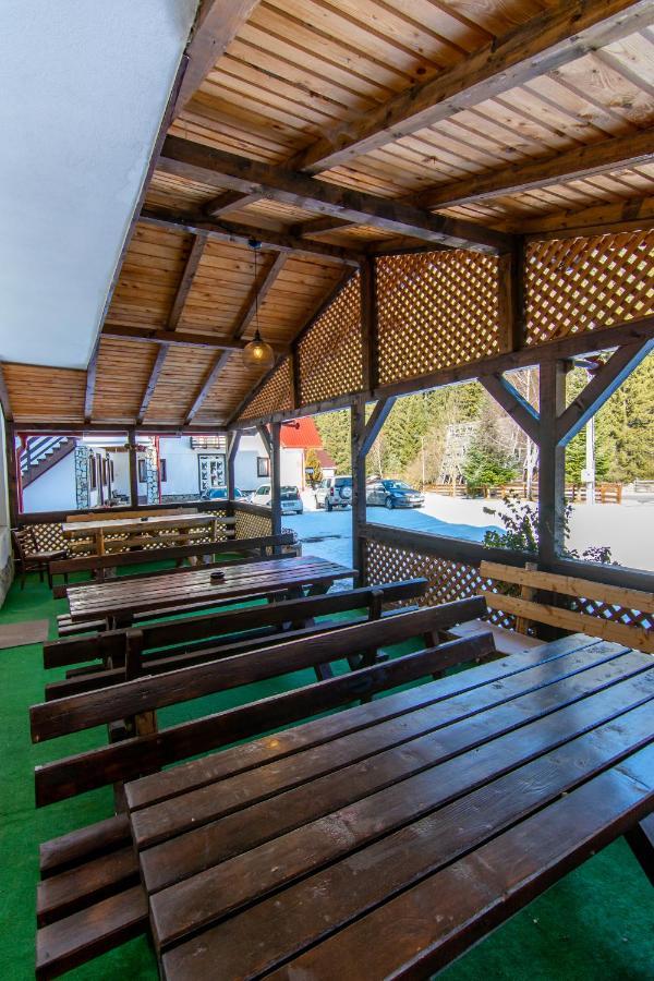 Vila Mesteacanul Моечиу-де-Сус Экстерьер фото